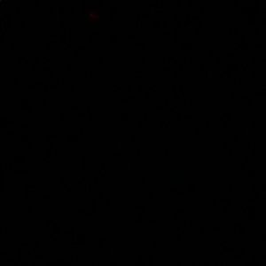 Meet your Posher, Mindy